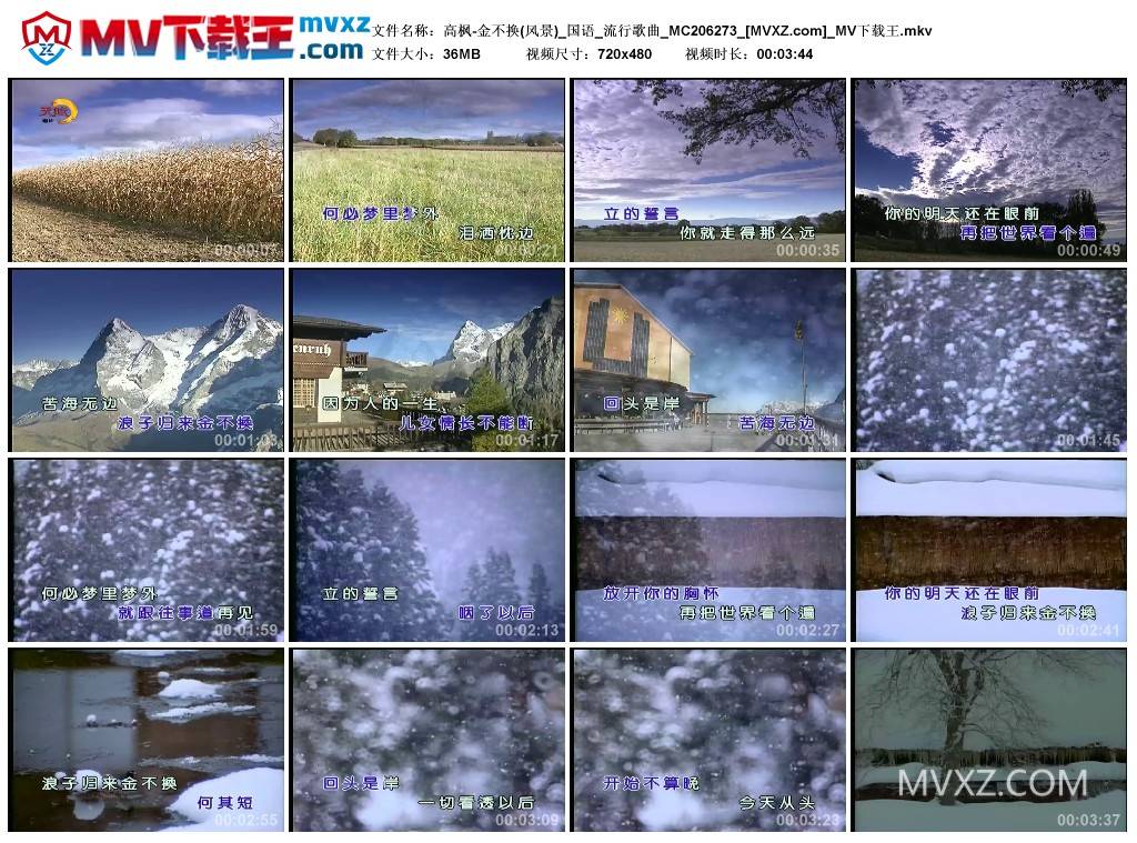 高枫-金不换(风景)_国语_流行歌曲_MC206273